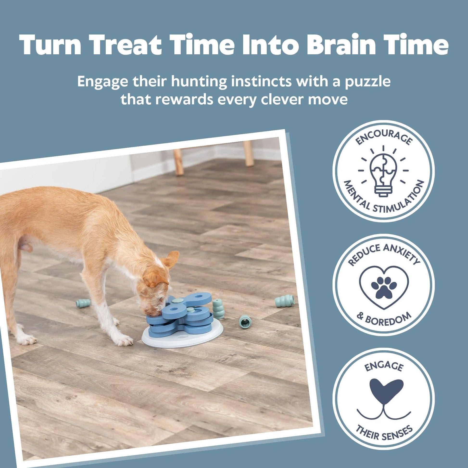 Dog Activity Move2Win Strategy Game, Level 3, Advanced Dog Puzzle Toy, Treat Dispenser
